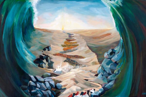 461901773_2780863082089771_8495919466711347292_n 461901773_2780863082089771_8495919466711347292_n