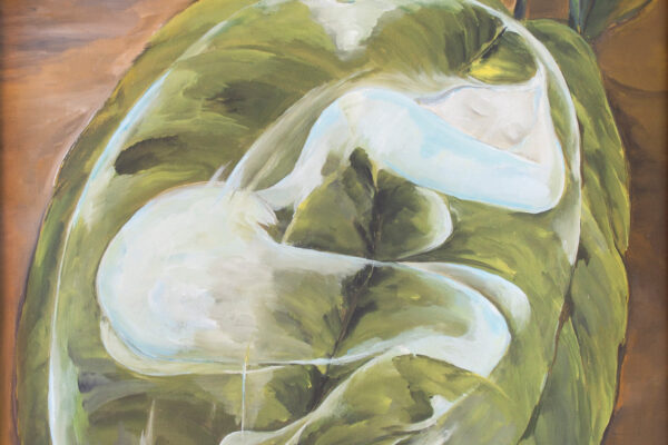 8d9e91d3-336c-46d6-bc23-cc267a908a53 8d9e91d3-336c-46d6-bc23-cc267a908a53